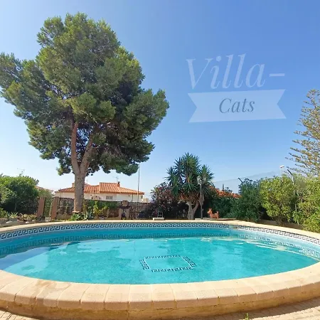 Homestay szállás Villacats: Con Bano Privado Y Piscina *